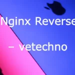 How To Set Up Nginx Reverse Proxy – vetechno